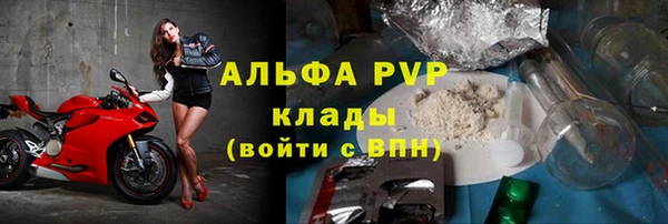ешки Богданович